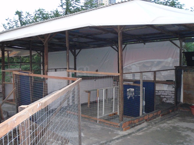 [P2110035[2].jpg]